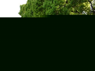 工業団地一斉清掃